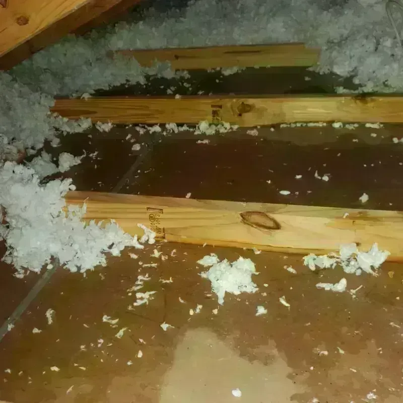 Attic Water Damage in Garfield, TX