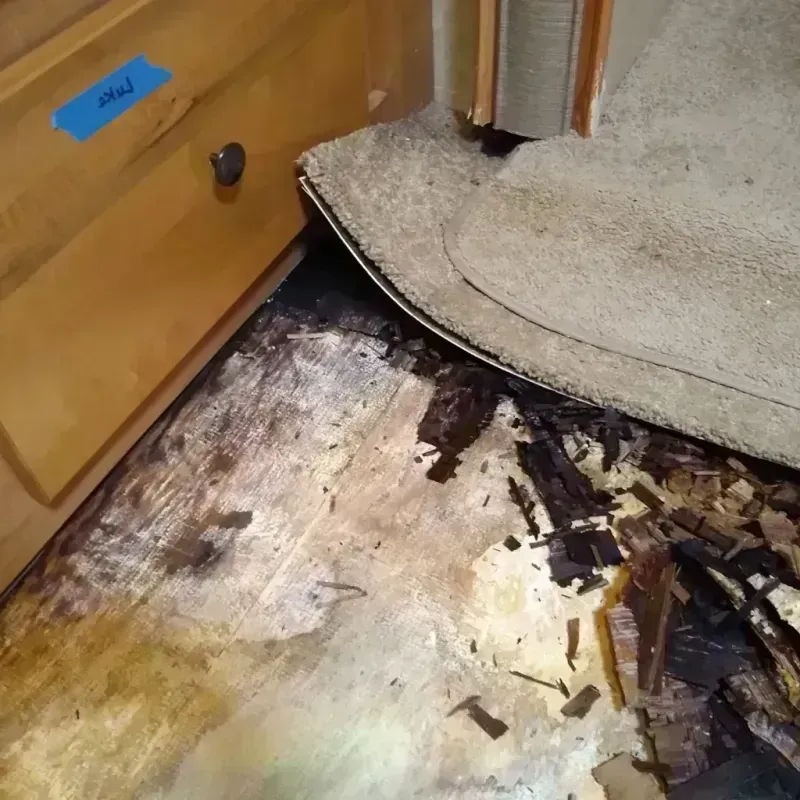 Wood Floor Water Damage in Garfield, TX